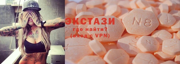 мдпв Инсар
