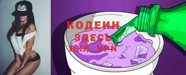 мдпв Инсар