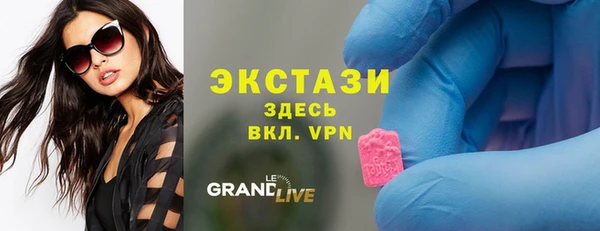 мдпв Инсар
