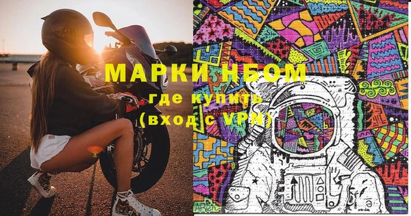 мдпв Инсар