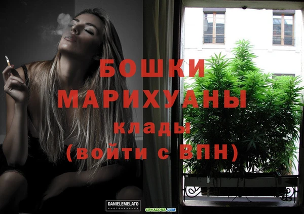 PSILOCYBIN Иннополис
