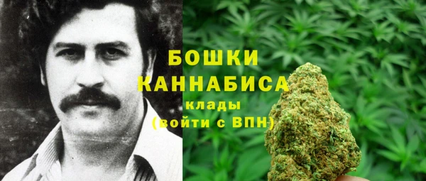 мдпв Инсар