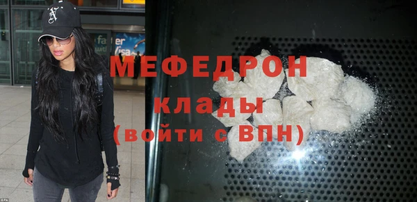 мдпв Инсар