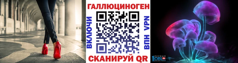 Купить закладки  Новоалтайск  Галлюциногенные грибы GOLDEN TEACHER 
