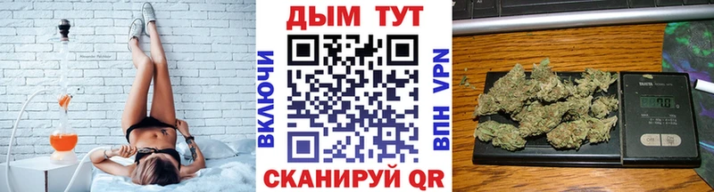 Бошки Шишки семена  Купить где  Новоалтайск 